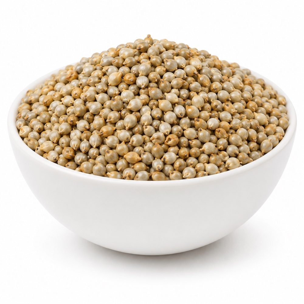 Pearl Millet