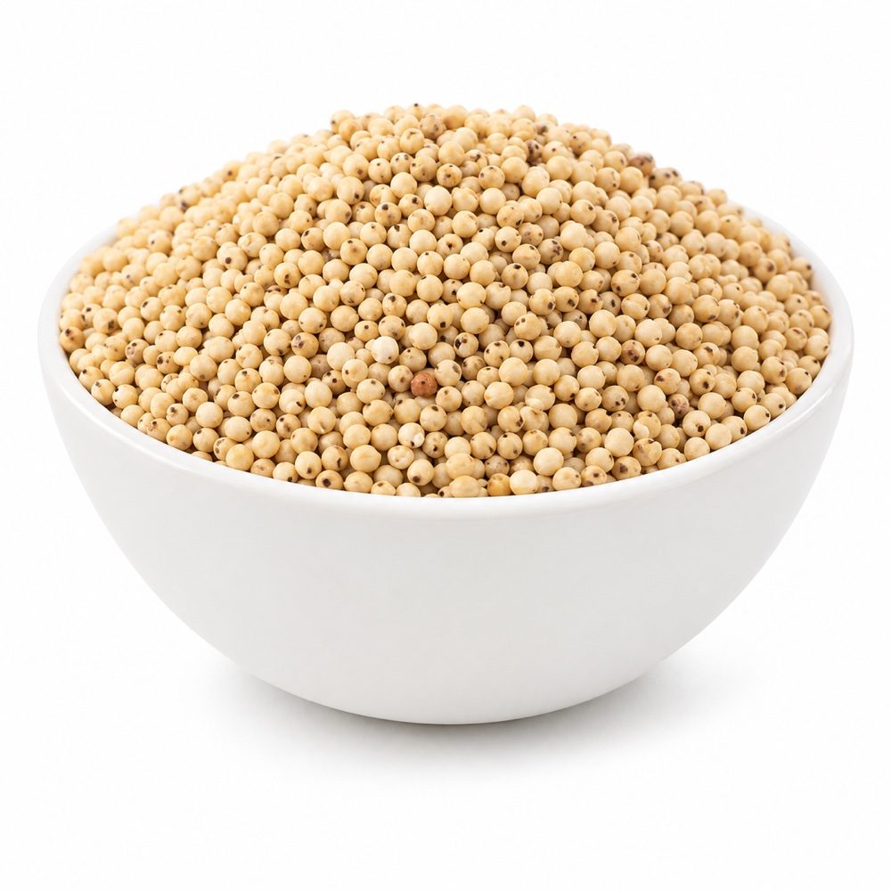 Sorghum