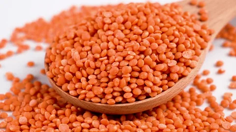 Red Lentils (Masoor)