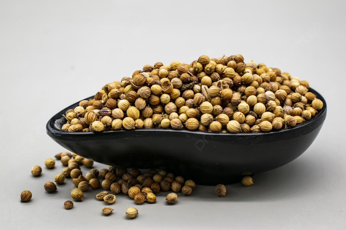 Coriander